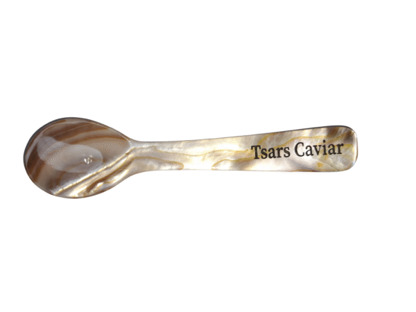 Mother Of Pearl Spoon
