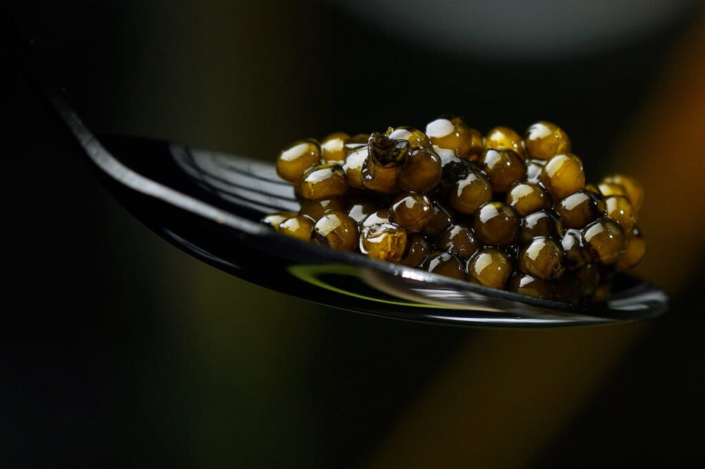 Close up of caviar on a spoon